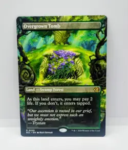 MTG Overgrown Tomb 350 (Borderless) - Lorwyn Eclipsed (ECL) Non Foil NM/MINT - Image 1