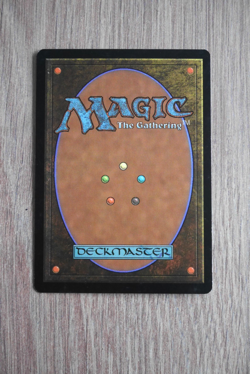 Carte Magic MTG : UNCLAIMED TERRITORY - Land - 258 / 279 U - V. anglaise - Image 2