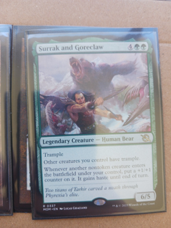 Magic The Gathering - Brother s War Lot / Bonus Lands Foil - Image 5