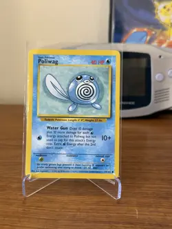 Pokemon Base Set Poliwrath Holo Evolution Set Poliwag Poliwhirl WOTC 1999 - Image 3