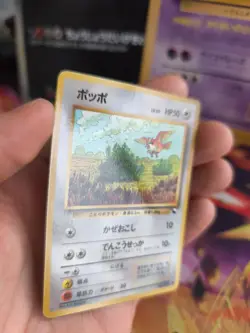 Pokemon Karte Card Vending expansion sheet glossy japanese Pidgey Taubsi NM+ - Image 3
