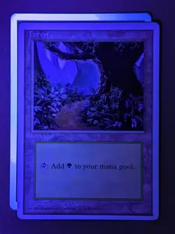 Forest (B) x1 Fourth Edition 4th Alternate 1x Magic the Gathering MTG - Image 1