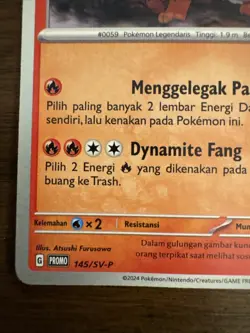 NM Arcanine 145/SV-P | Pokemon Good Day Stamped Promo Indonesian [US SELLER] - Image 5