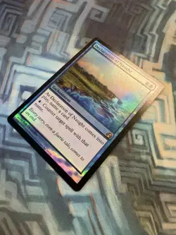 MTG Foil Declaration of Naught EX/LP+ Morningtide - Image 4