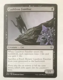 CAULDRON FAMILIAR 081 Throne of Eldraine MTG Magic NM - Image 1