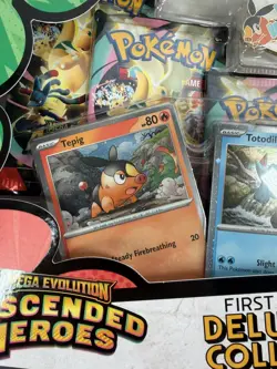 Pokemon TCG: Ascended Heroes First Partners Deluxe Pin Collection ✅ New & Sealed - Image 4