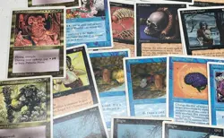Mixed 1995 Magic: The Gathering (White Border) Trading Card Bundle (Set Of 100) - Image 4