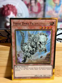 FOSSIL DYNA PACHYCEPHALO MGED-EN008 MaximumGold El Dorado 1st Ed Yu-Gi-Oh TCG LP - Image 1