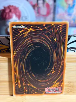 FOSSIL DYNA PACHYCEPHALO MGED-EN008 MaximumGold El Dorado 1st Ed Yu-Gi-Oh TCG LP - Image 2