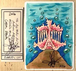MTG ARTIST PROOF Antiquities Coral Helm AP Sketch Art Amy WEBER Magic - Image 1