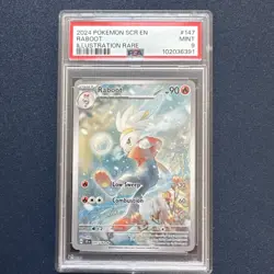 2024 POKEMON STELLAR CROWN RABOOT 147/142 IR ILLUSTRATION RARE PSA 9 MINT - Image 1