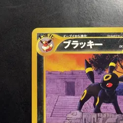 Pokemon Vintage Umbreon Neo Premium File 2 (Japanese) Discovery 2000 - Image 2