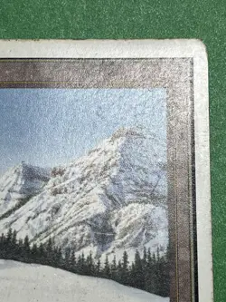 **Taiga** MTG: Magic The Gathering -Unlimited- Heavily Played, see pics (HP) - Image 3