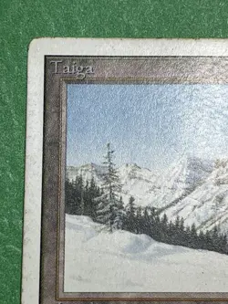 **Taiga** MTG: Magic The Gathering -Unlimited- Heavily Played, see pics (HP) - Image 5