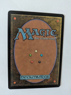 French Marrow-Gnawer Salvat MTG NM Free shipping&tracking - Image 2