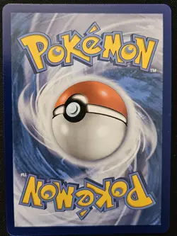 Galarian Zapdos SWSH283 Black Star Promos Crown Zenith Tins Holo Pokemon 2023 NM - Image 2