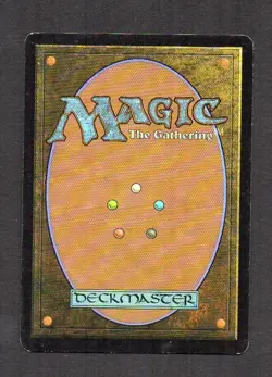 MtG FOIL Sword of Fire and Ice Spada di Fuoco e Ghiaccio FOIL (Darksteel) - Image 2