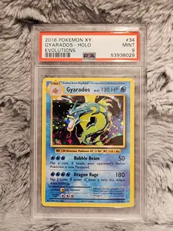 PSA 9 - 2016 Pokemon XY Evolutions #34/108 Gyarados Holo - Image 1