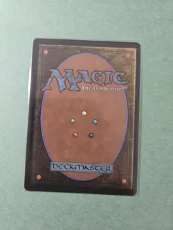 Appa, Steadfast Guardian - TLA 10 - NM - MTG - Image 2