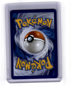 Pokemon TCG N’s Zekrom #031 Black Star Promo Full Art Ascended Heroes Promo NM/M - Image 2