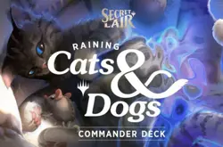 MTG Secret Lair Raining Cats and Dogs Limited Edition Deck - Image 4