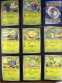 Pokemon Ascended Heroes Complete Base Set Commons, Uncommons & Holos 178 Card - Image 1