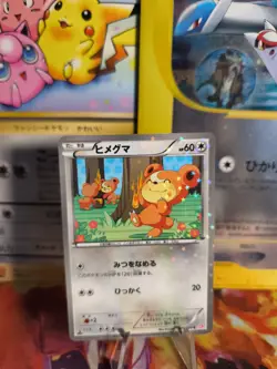 Pokemon Karte Card Holo Teddiursa Shiny Collection 2013 Special Pack japanese NM - Image 1