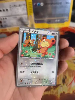 Pokemon Karte Card Holo Teddiursa Shiny Collection 2013 Special Pack japanese NM - Image 2