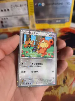 Pokemon Karte Card Holo Teddiursa Shiny Collection 2013 Special Pack japanese NM - Image 4