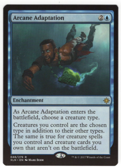 Arcane Adaptation, Ixalan, NM, MTG-Magic the Gathering, Regular - Image 1