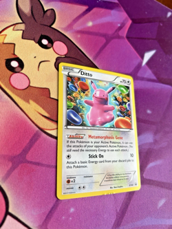 Ditto - XY40 - Pokemon TCG - BLACK STAR HOLO RARE PROMO - LP - Image 2