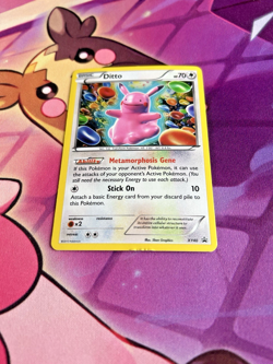 Ditto - XY40 - Pokemon TCG - BLACK STAR HOLO RARE PROMO - LP - Image 3