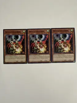 YUGIOH: 3x Droll & Lock Bird 1st Edition Common L5DD-ENC04 Playset NM - Image 1