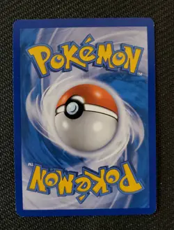 Pokemon TCG Boundaries Crossed Darumaka 27/149 - NM - Image 2