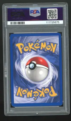 Pokemon PSA 8 NM MT Dark Gyarados Holo 8/82 1st Edition 2000 Rocket WOTC - Image 2