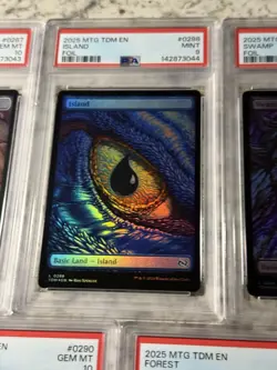 MTG Tarkir: Dragonstorm 2025 FOIL Dragon Eye Lands Complete Graded Set 4 PSA 10s - Image 3