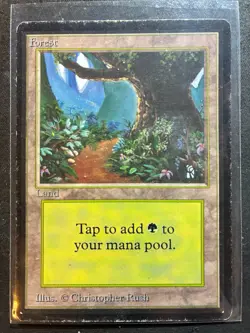 Magic the Gathering Beta Forest - Version A - WotC MtG Free Shipping - Image 1