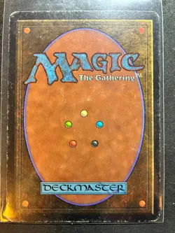 Magic the Gathering Beta Forest - Version A - WotC MtG Free Shipping - Image 2