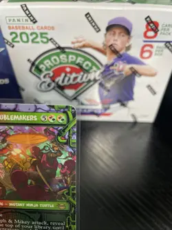 MTG Raph & Mikey, Troublemakers (Showcase) Normal NM | 250 TMT R - Image 3