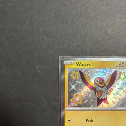 Wattrel 145/091 Shiny Rare: Paldean Fates Pokemon TCG Near Mint - Image 3