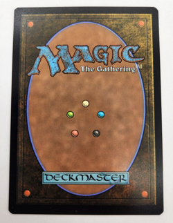 MTG Cavern of Souls (0345) (Borderless) Near Mint Normal Lost Caverns of Ixa - Image 2