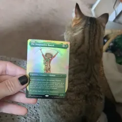 MTG: Pir, Imaginative Rascal Borderless FOIL #1050, NM Secret Lair Drop Card!! - Image 2