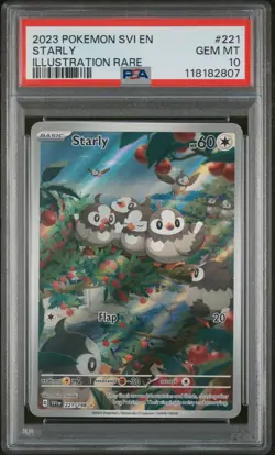 2023 POKEMON SVI EN-SCARLET & VIOLET ILLUSTRATION RARE #221 STARLY PSA 10 - Image 1