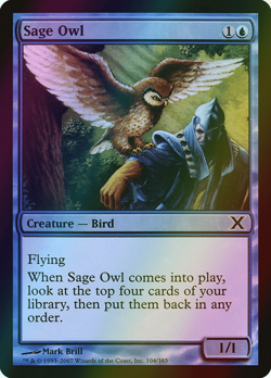MTG Sage Owl Foil ** Tenth Edition ** English - Image 1