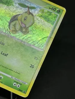 Pokemon Turtwig DP01 Diamond and Pearl Holo - Image 2