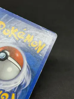 Pokemon Turtwig DP01 Diamond and Pearl Holo - Image 4