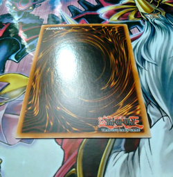 Ash Blossom & Joyous Spring QUARTER CENTURY SECRET RARE RA01-EN008 NM YuGiOh - Image 5