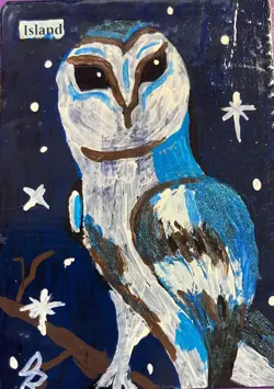 MTG altered art hand painted Land Owl Set - Image 5