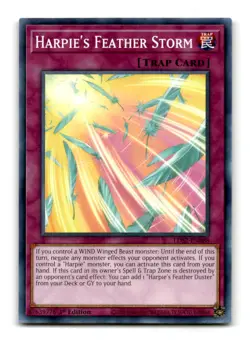 Harpie's Feather Storm - LDS2-EN088 1st Edition - YuGiOh-LP - Image 1