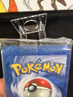 Pokemon Rocket's Sneasel 5 Winner Gold Stamped Best Of Game Promo Sealed 8 pack - Image 5